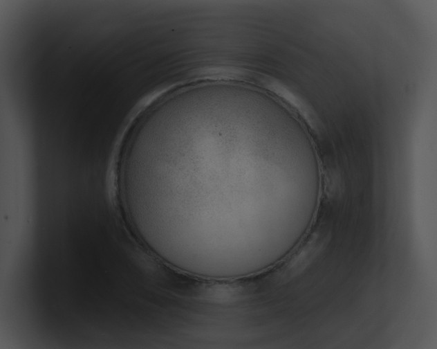 X0000100911074200806241308