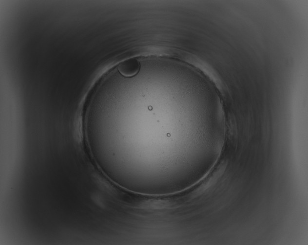 X0000100911075200806241308
