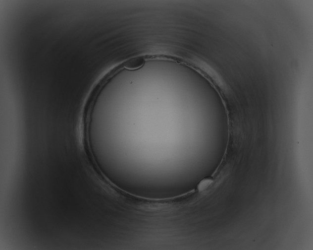 X0000100911076200806241308