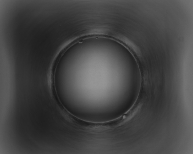 X0000100911077200806241308