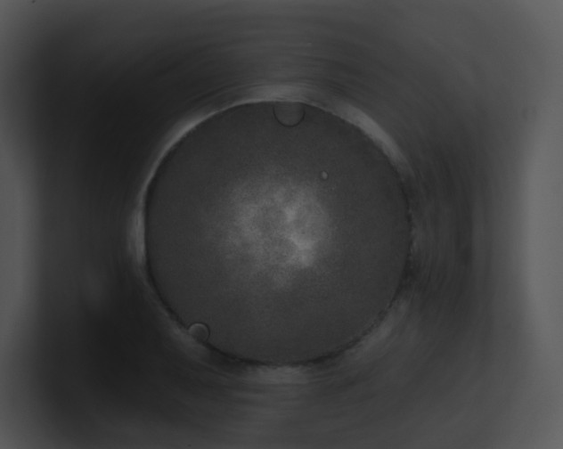 X0000100911079200806241308