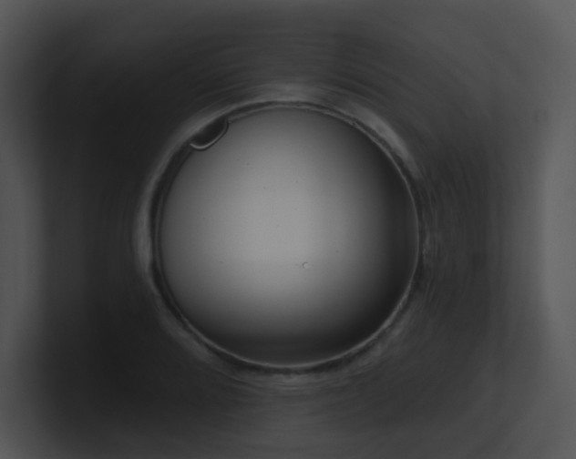 X0000100911080200806241308