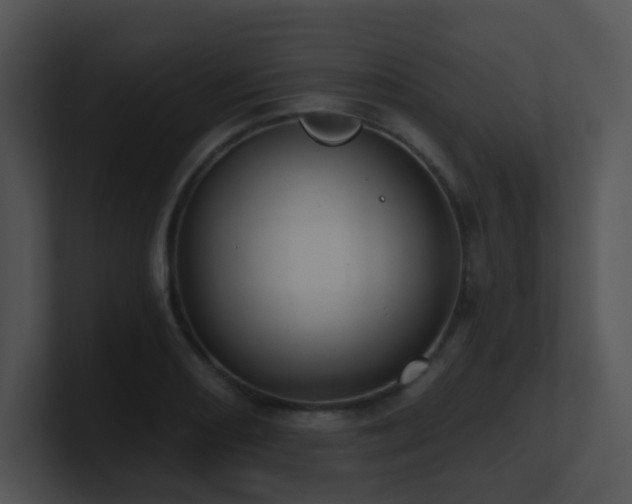 X0000100911082200806241308