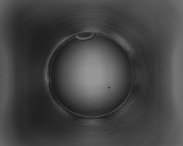 X0000100911084200806241308