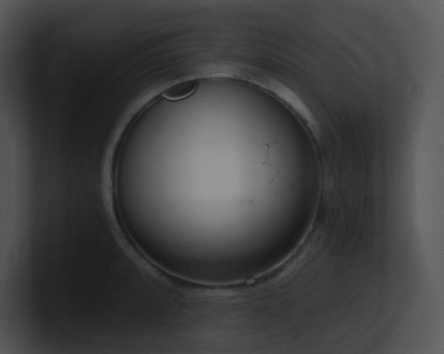 X0000100911088200806241308
