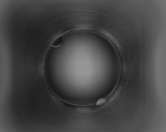 X0000100911089200806241308