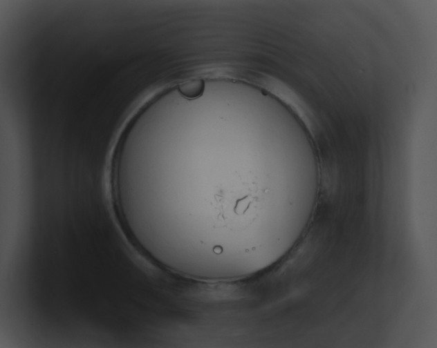 X0000100911090200806241308