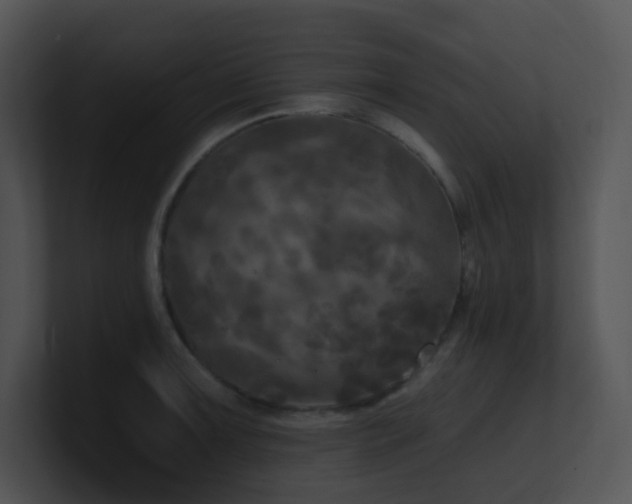 X0000100911091200806241308