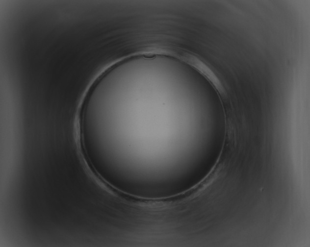 X0000100911092200806241308