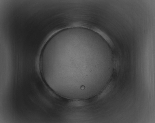 X0000100911094200806241308