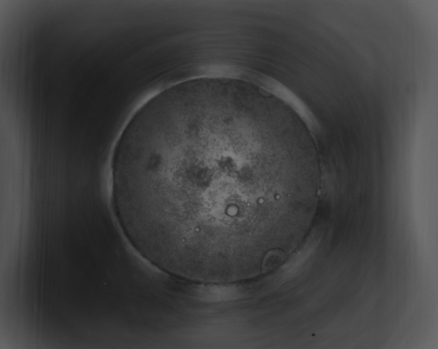 X0000100911095200806241308