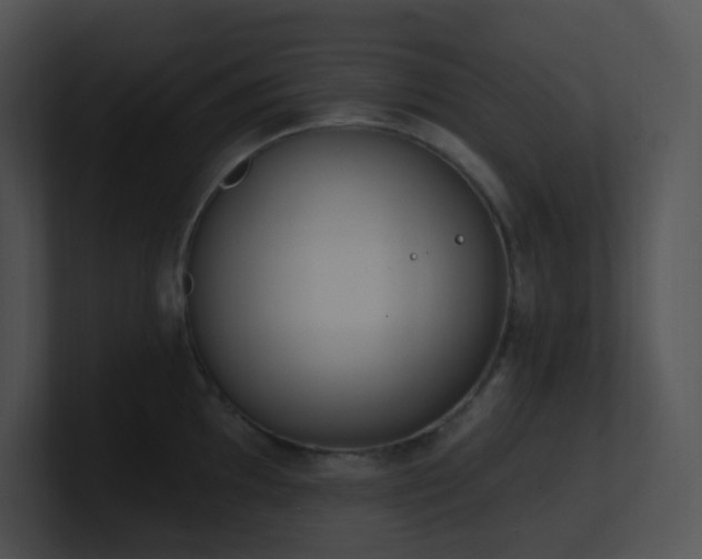 X0000100911097200806241308