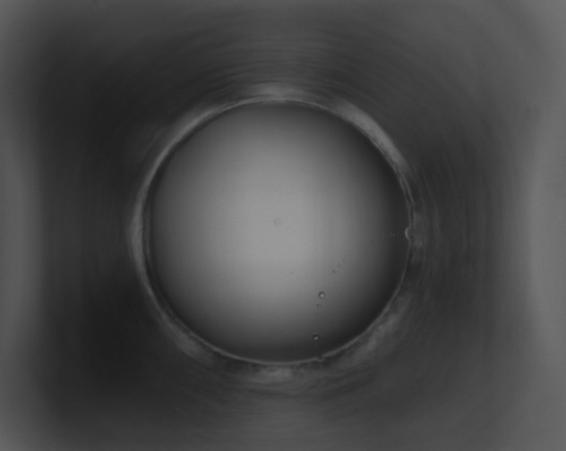 X0000100911098200806241308