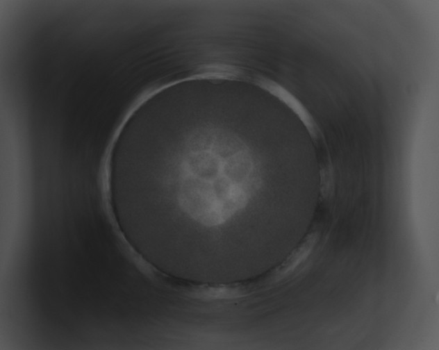 X0000100911099200806241308