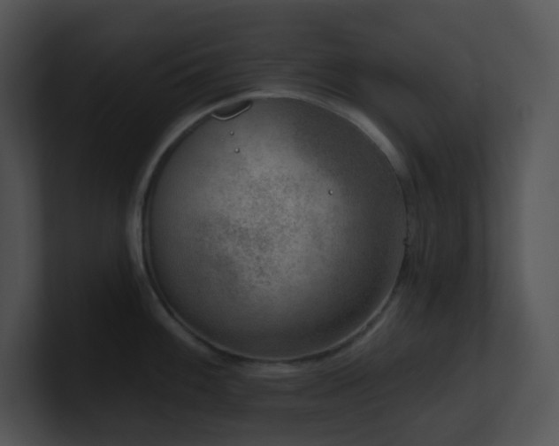 X0000100911100200806241308