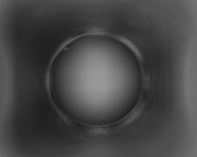 X0000100911101200806241308