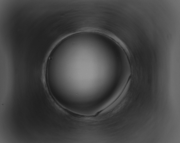 X0000100911102200806241308