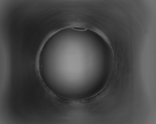 X0000100911104200806241308