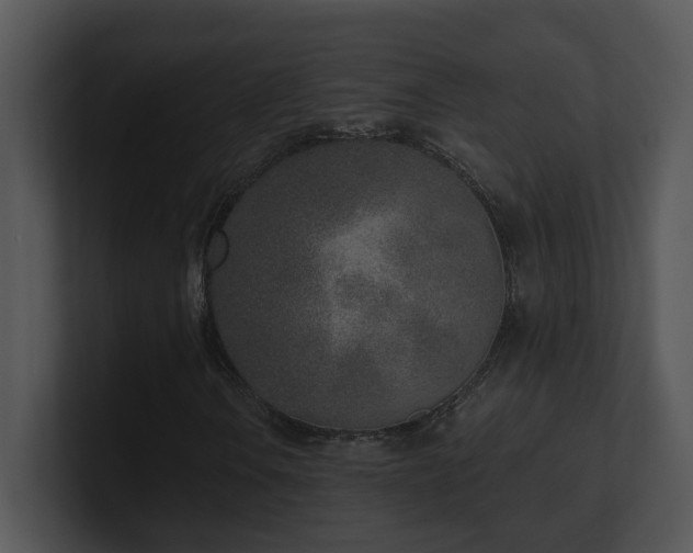 X0000100911106200806241307