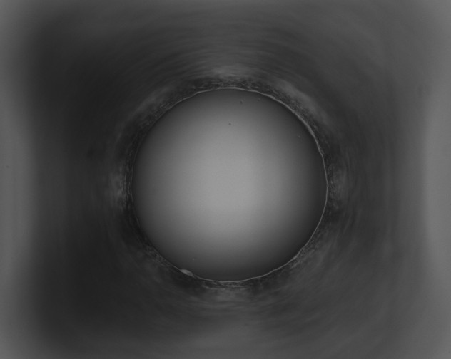 X0000100911110200806241307