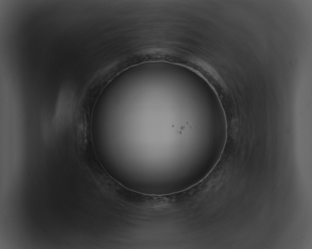 X0000100911111200806241307