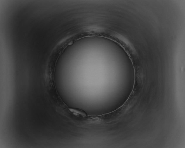 X0000100911112200806241307