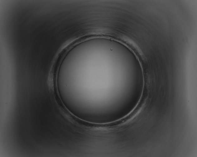X0000100911114200806241307