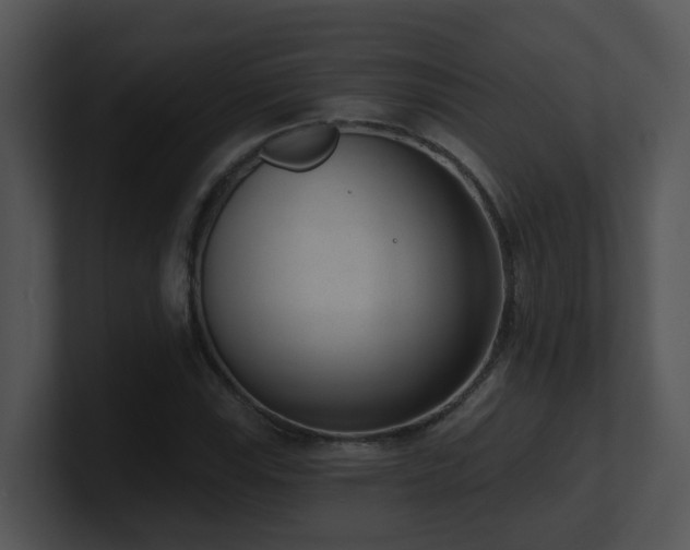 X0000100911115200806241307