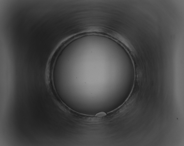 X0000100911116200806241307
