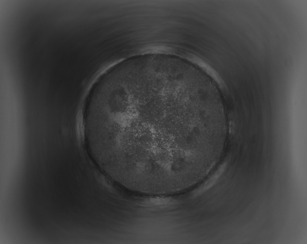 X0000100911117200806241307