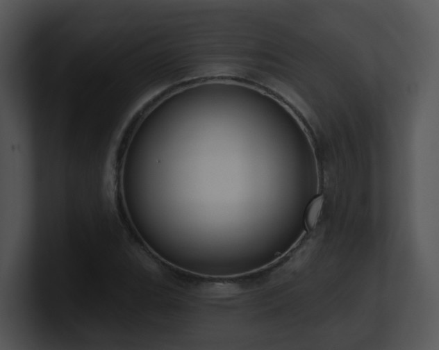 X0000100911119200806241307