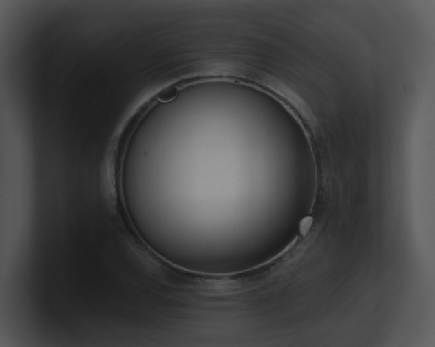 X0000100911120200806241307