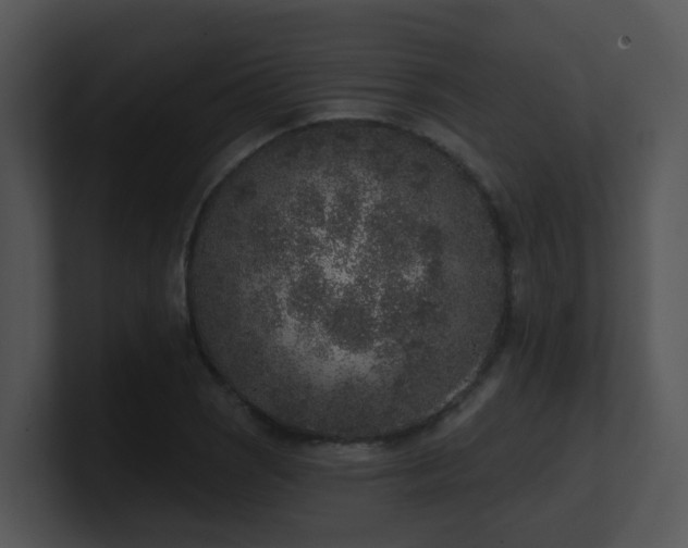 X0000100911121200806241307