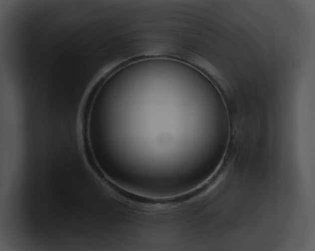 X0000100911122200806241307