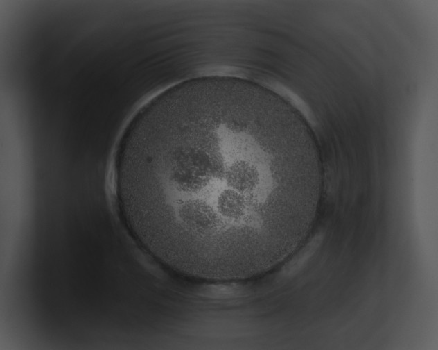 X0000100911125200806241307
