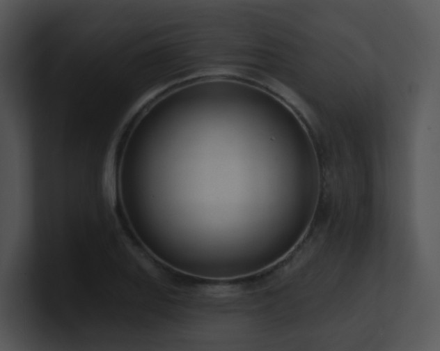 X0000100911127200806241307