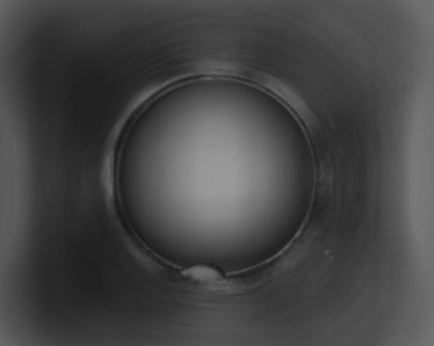 X0000100911128200806241307