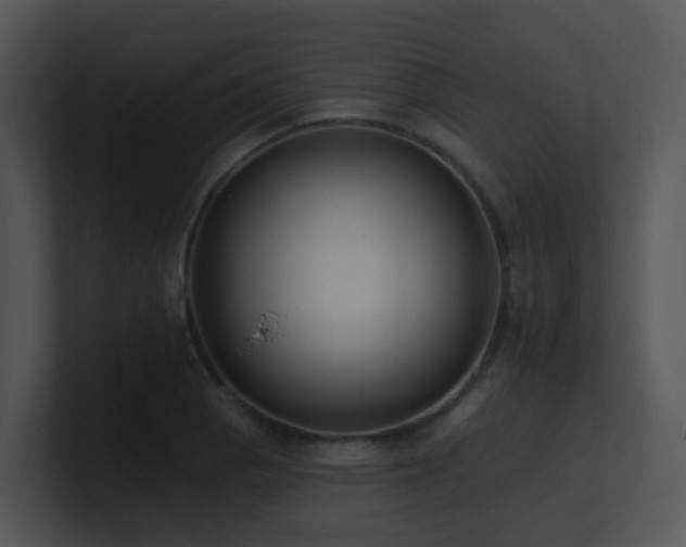 X0000100911129200806241307