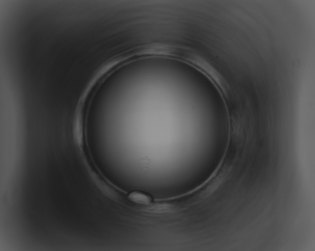 X0000100911131200806241307