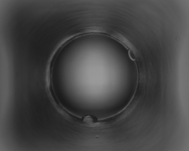 X0000100911132200806241307