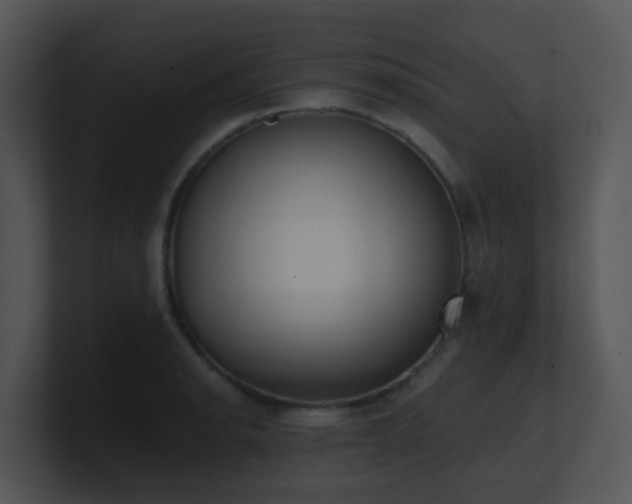 X0000100911134200806241307