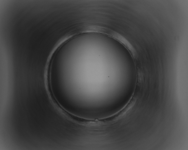 X0000100911138200806241307