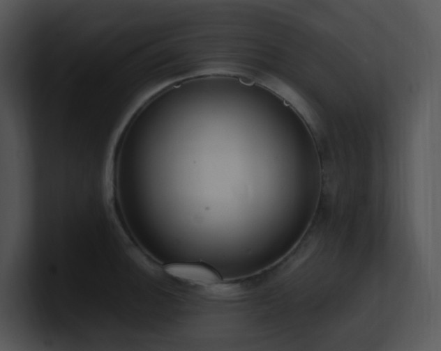 X0000100911140200806241307