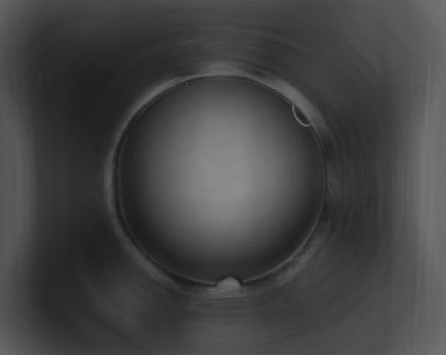 X0000100911142200806241308