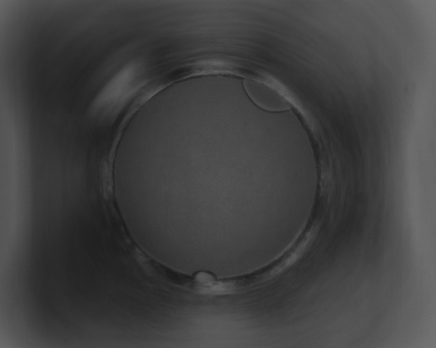 X0000100911145200806241308