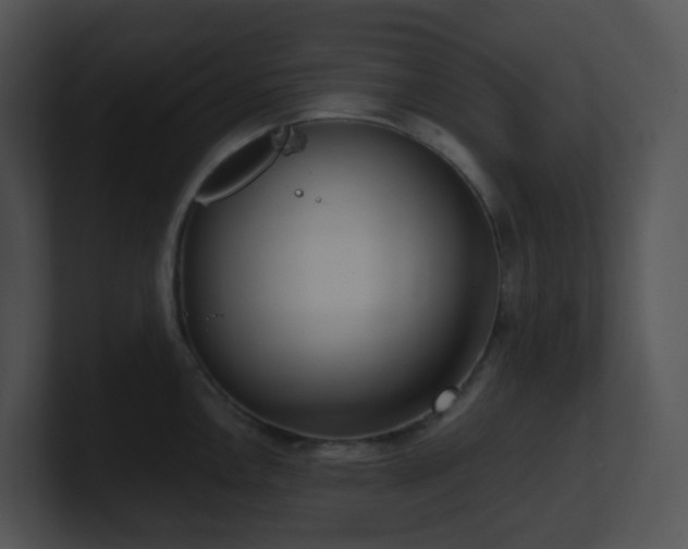 X0000100911146200806241308