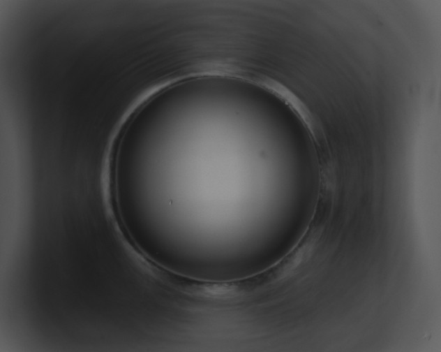 X0000100911147200806241308