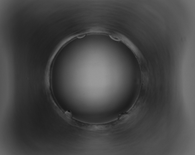 X0000100911148200806241308