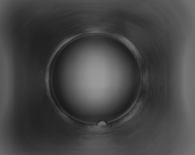 X0000100911149200806241308