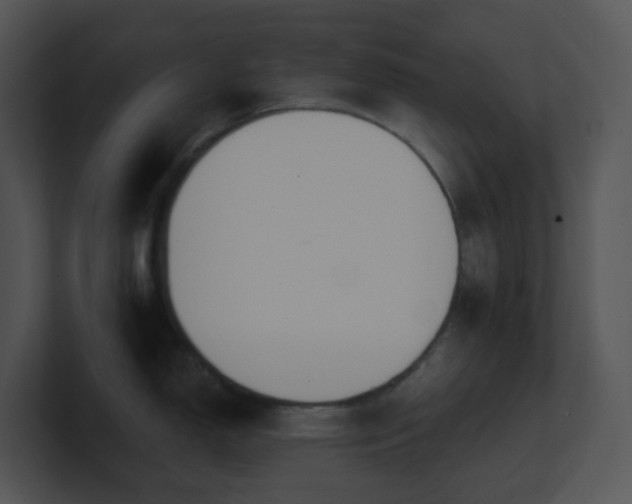 X0000100911150200806241308
